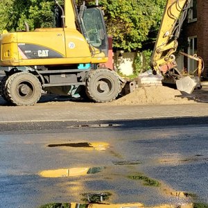 Sabine Schröder...... Cat