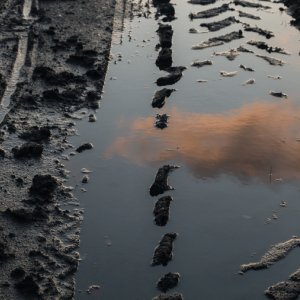 Rainer Kalusok...... Pfütze