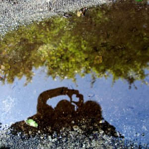 Martina Benning...... Spiegelbild
