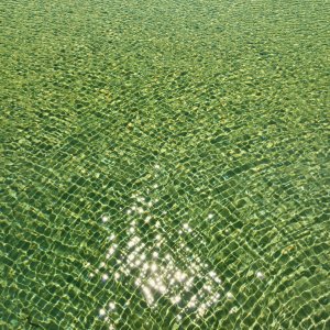 Wolfgang Rauchfleisch...... Doppelreflexion