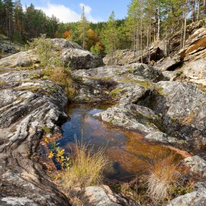 Wolfgang Rauchfleisch...... Eispfütze