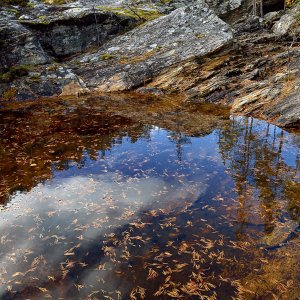 Wolfgang Rauchfleisch...... Norwegen