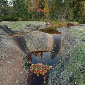 Wolfgang Rauchfleisch...... Uferpfütze