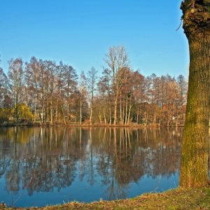 Teich...... Horst Tripp