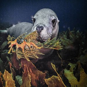 "Planet Ozean" im Gasometer Oberhausen...... Irene Upadek 
