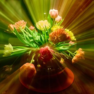 Tulpen...... Werner Schuffenhauer